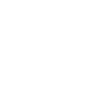 Lr-icon