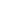 Ps-icon